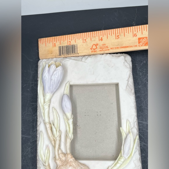 FRAME OLOGY LIFE MOMENTS ART PICTURE PHOTO FRAME FLOWER Spring Crocus 1997 - Picture 10 of 16